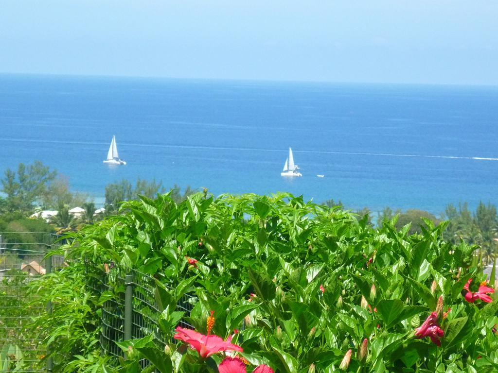 Flamboyant Ocean View - Ex Hillside Haven Apartment Tamarin Exterior photo